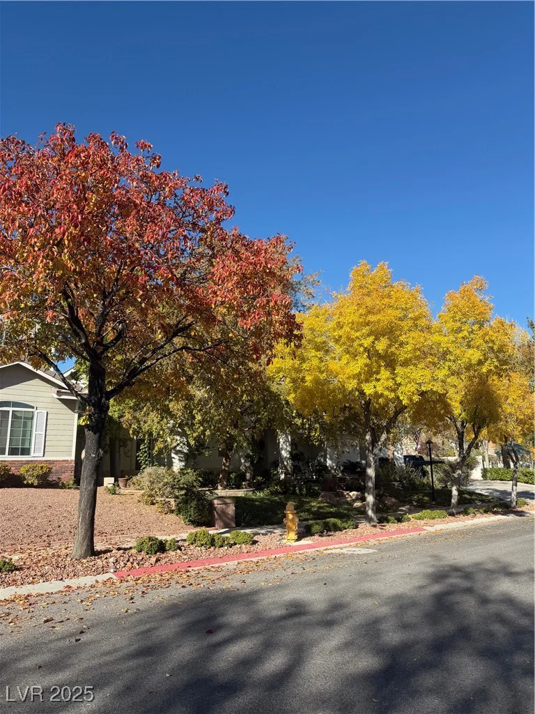 7360 Bachelors Button, Las Vegas, NV 89131
