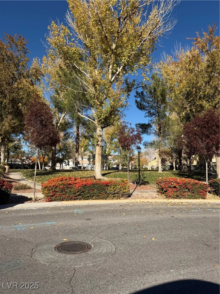 7360 Bachelors Button, Las Vegas, NV 89131