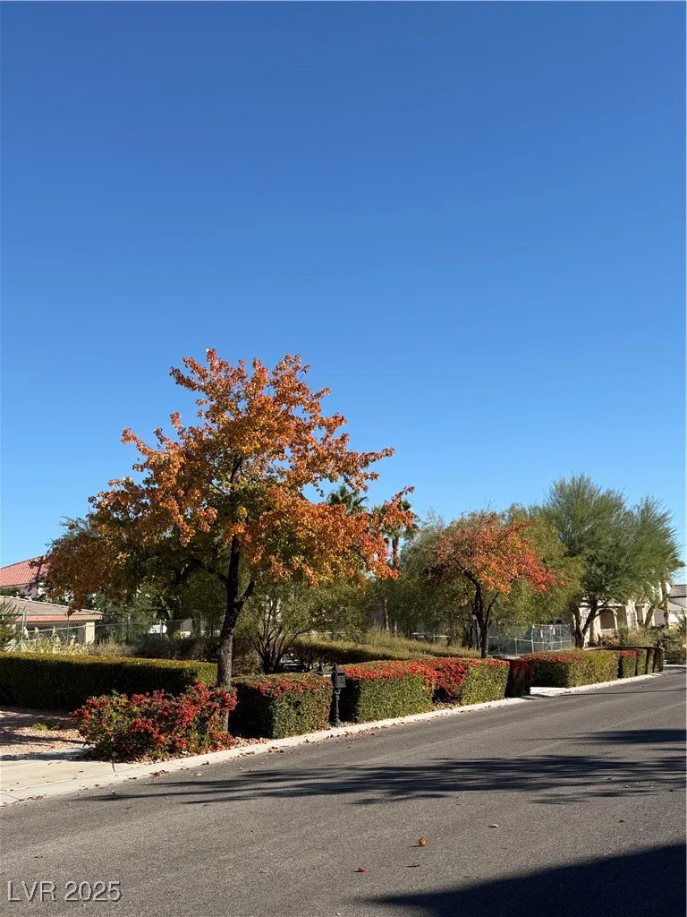 7360 Bachelors Button, Las Vegas, NV 89131