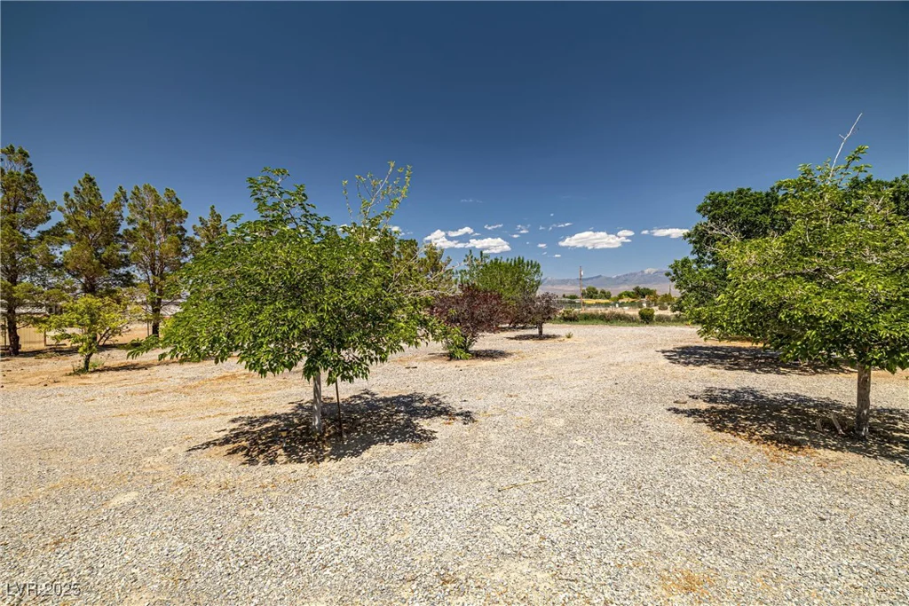 4230 Prospector, Pahrump, NV 89048
