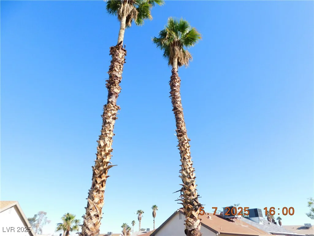 4382 Pinegrove, Las Vegas, NV 89147