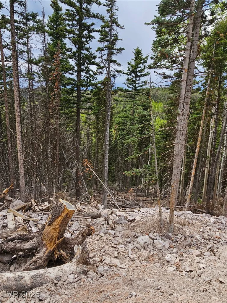 Lot 39 West Village, Beaver, UT 84713