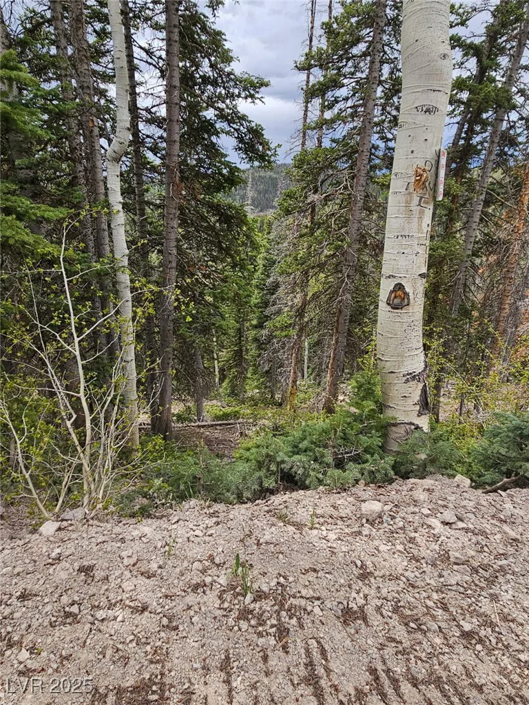 Lot 39 West Village, Beaver, UT 84713