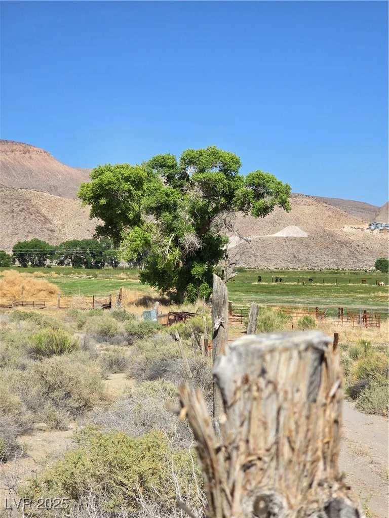 430 Paradise, Alamo, NV 89001