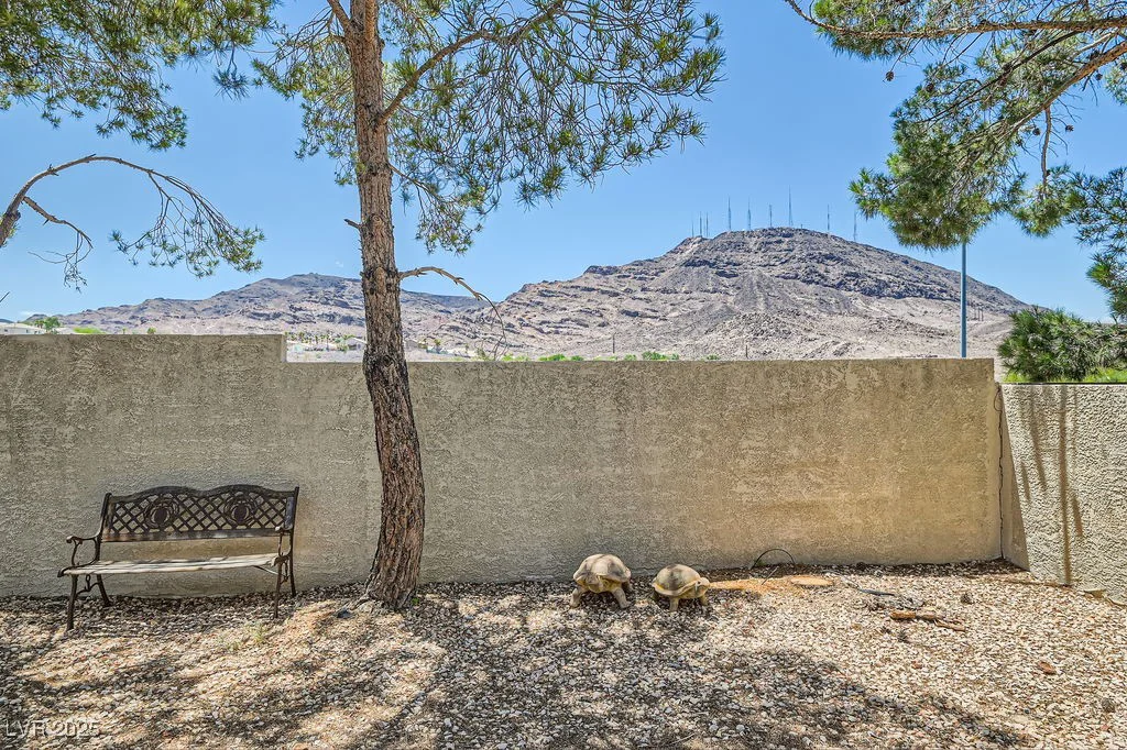 735 Wolf Point, Henderson, NV 89002