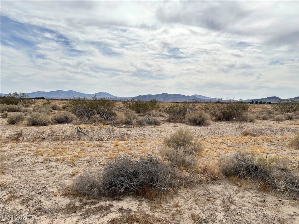 3221 Chestnut, Pahrump, NV 89060