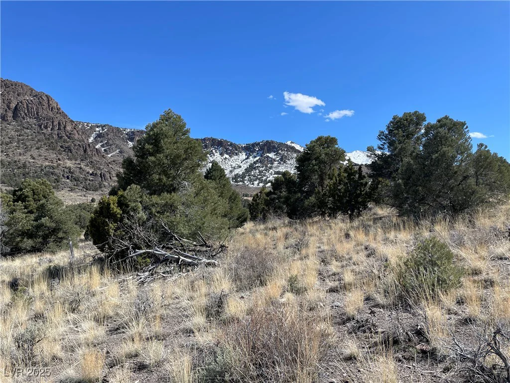 P-15 Butte Valley, Ely, NV 89301