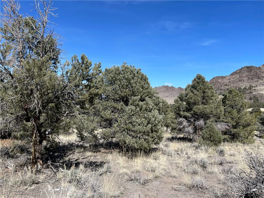 P-15 Butte Valley, Ely, NV 89301