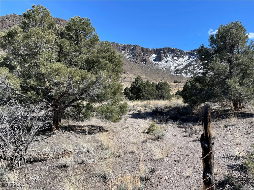 P-15 Butte Valley, Ely, NV 89301