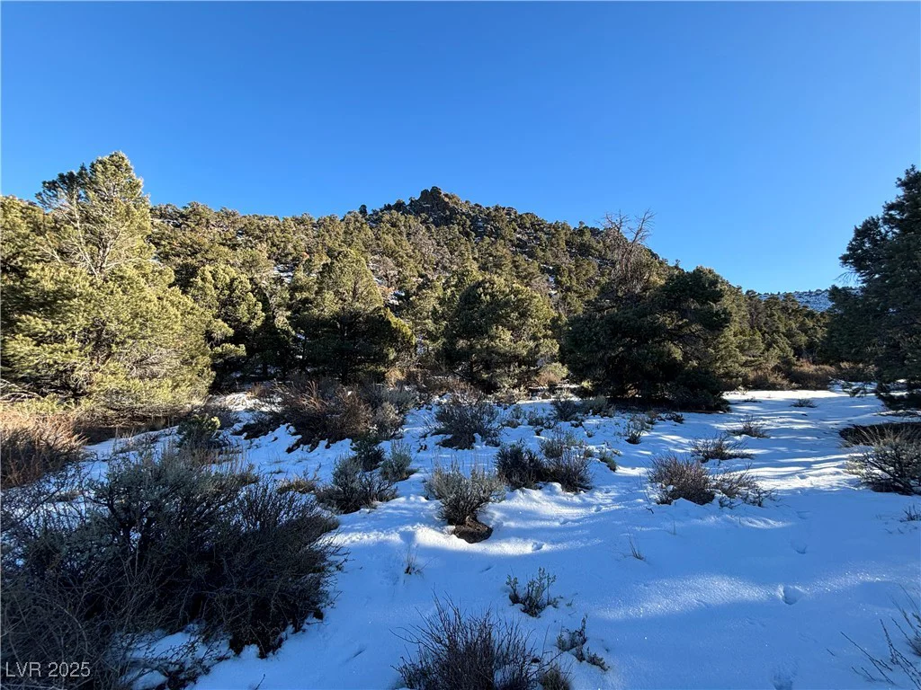 P-19 Butte Valley, Ely, NV 89301