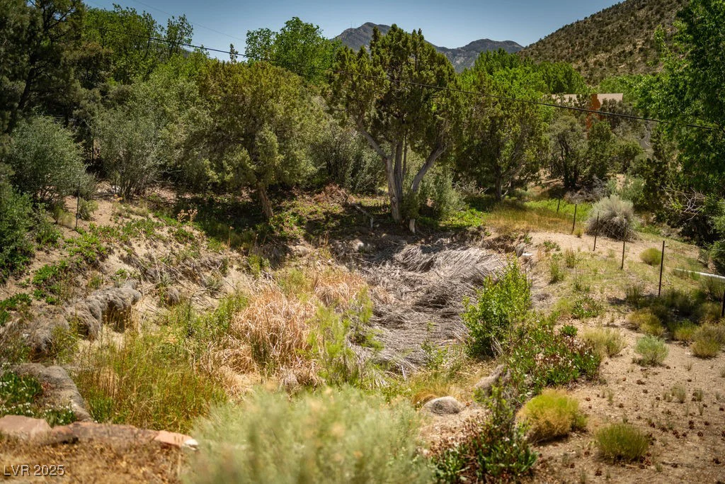 18480 State Hwy 160, Las Vegas, NV 89161