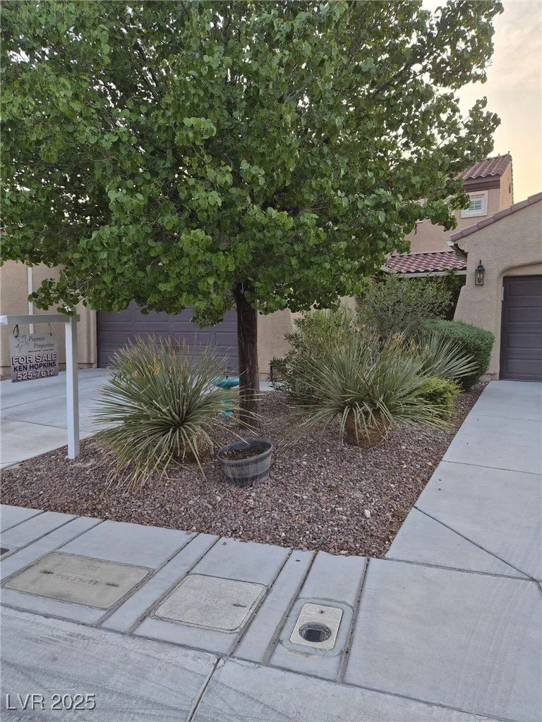 8873 Briar Bay, Las Vegas, NV 89131