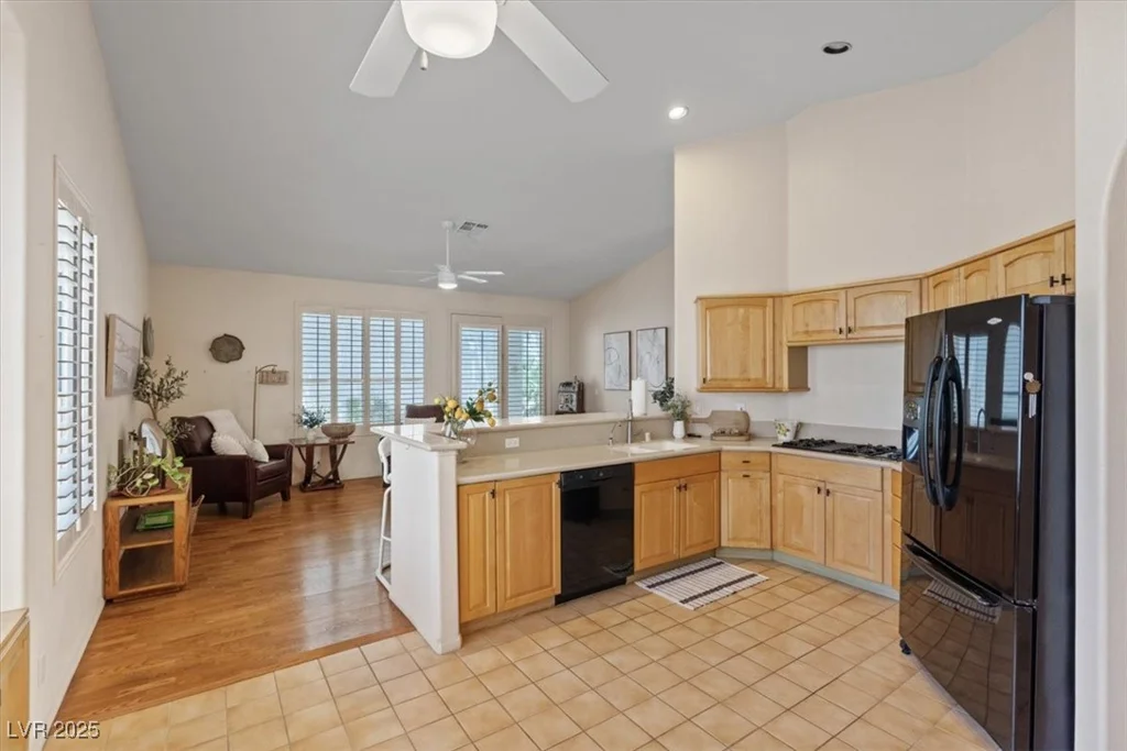 175 Palta, Henderson, NV 89074