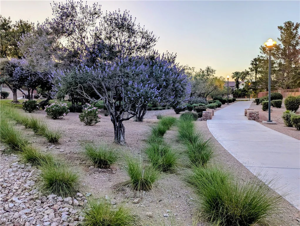 9728 Echo Hills, Las Vegas, NV 89134