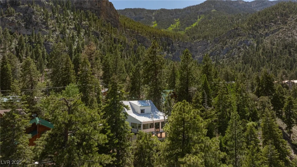 4778 Knotty Pine, Mount Charleston, NV 89124