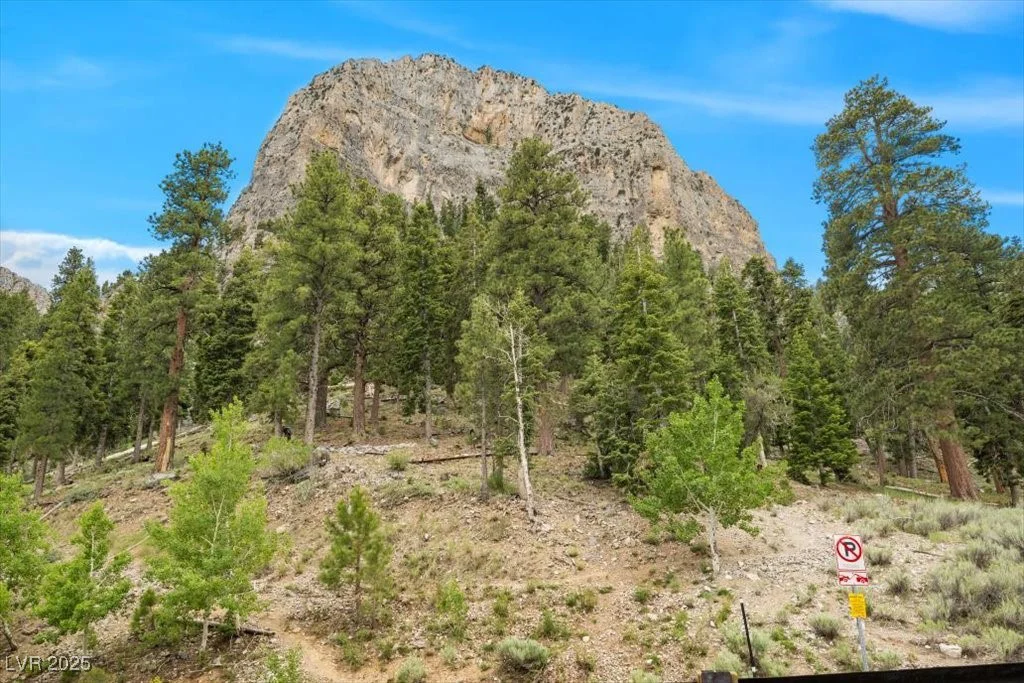 4830 Silver Tip, Mount Charleston, NV 89124