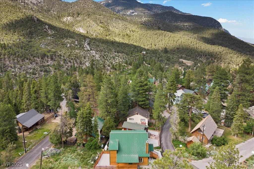 4830 Silver Tip, Mount Charleston, NV 89124