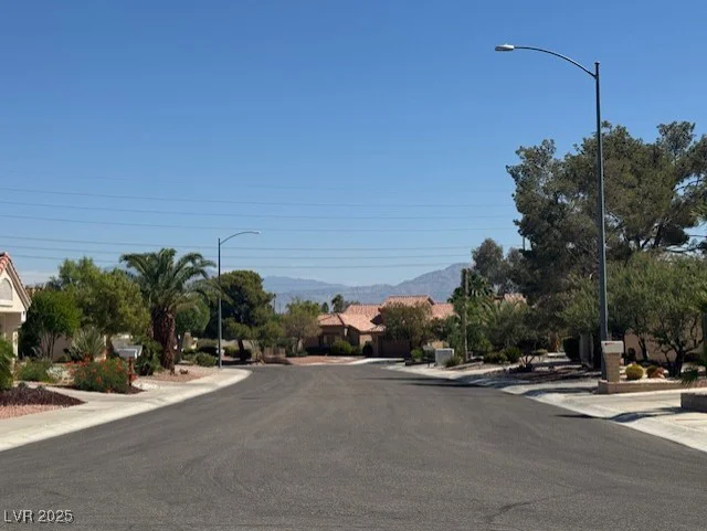3104 Birch Grove, Las Vegas, NV 89134