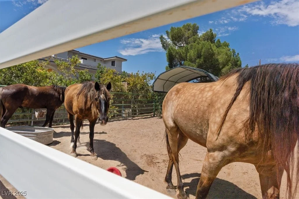 7675 Butterscotch, Las Vegas, NV 89131