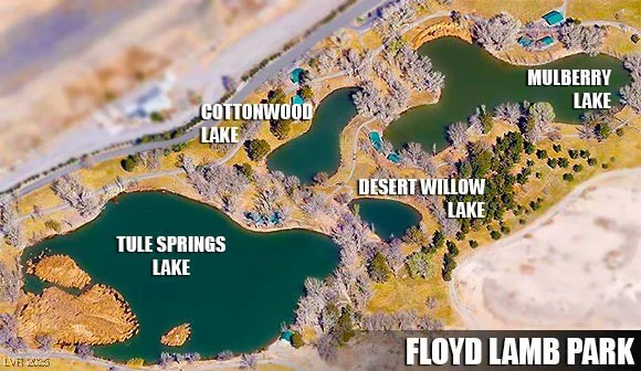 8221 Ebony Peak, Las Vegas, NV 89143