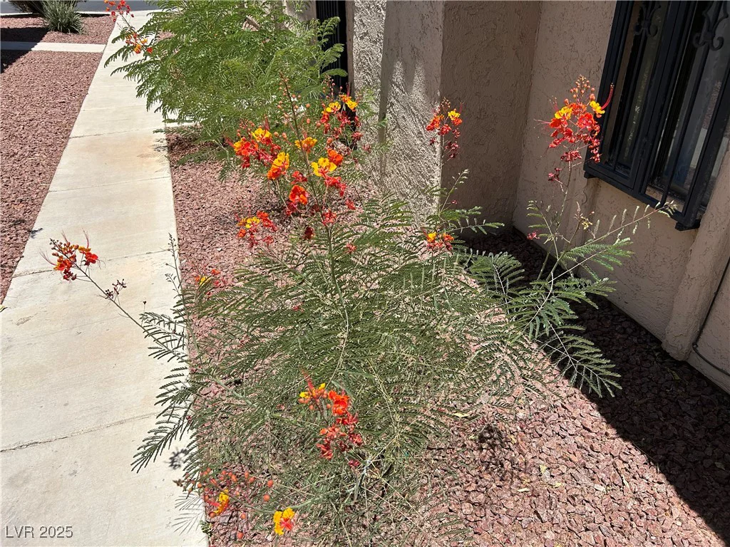 1866 Camino Verde, Las Vegas, NV 89119