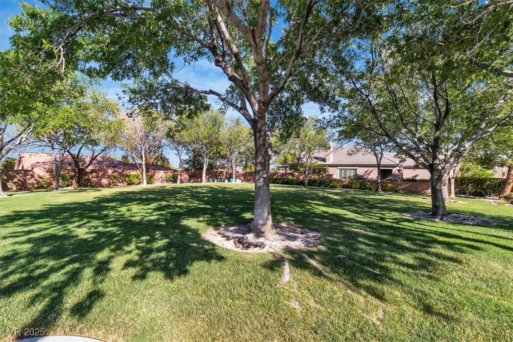 11253 Revelry, Las Vegas, NV 89138