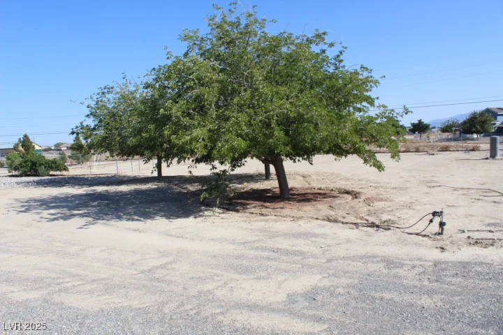 2201 DANDELION, Pahrump, NV 89048