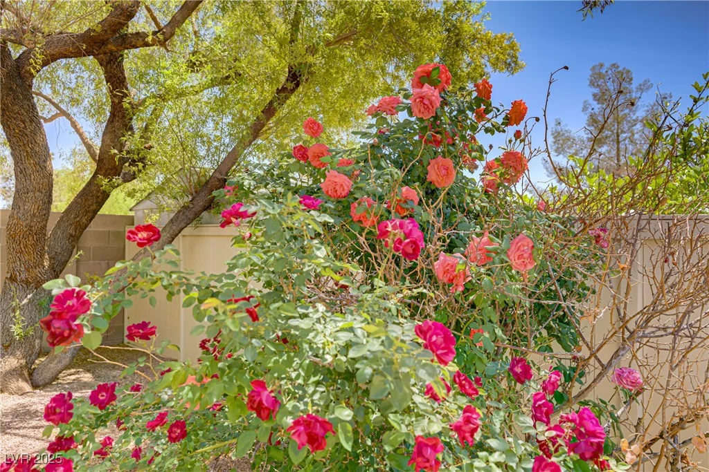 5240 Adorato, North Las Vegas, NV 89031