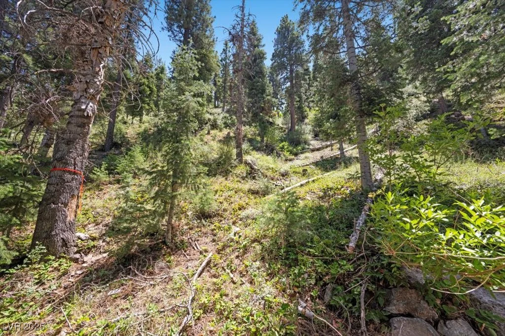 4581 Aspen, Mount Charleston, NV 89124