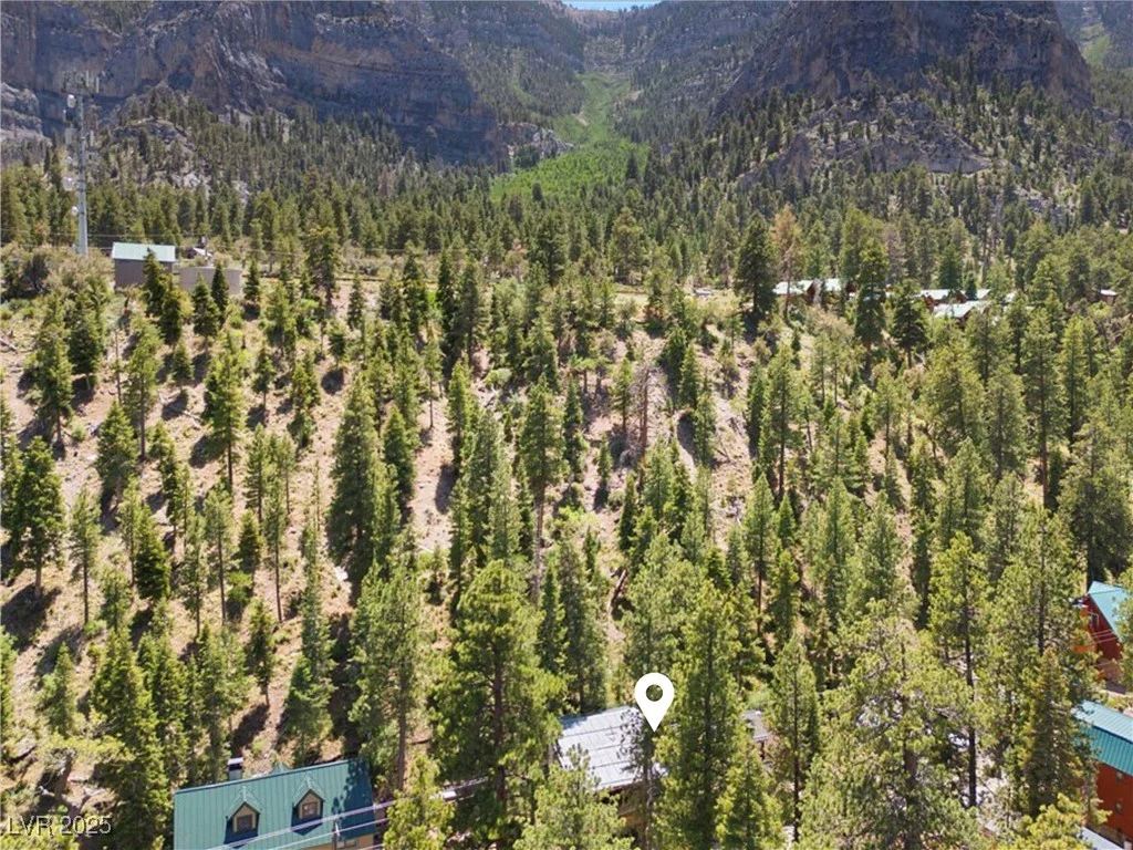 4581 Aspen, Mount Charleston, NV 89124