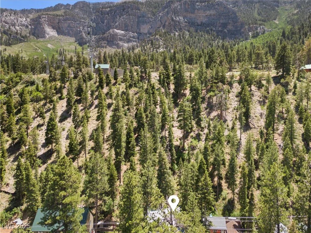 4581 Aspen, Mount Charleston, NV 89124