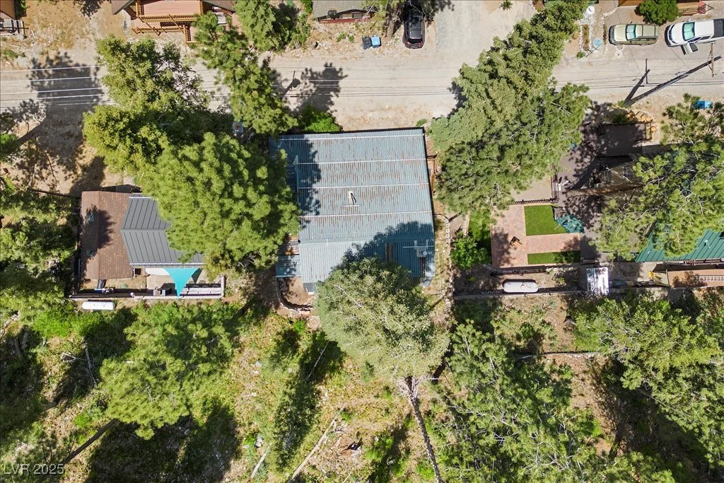 4581 Aspen, Mount Charleston, NV 89124