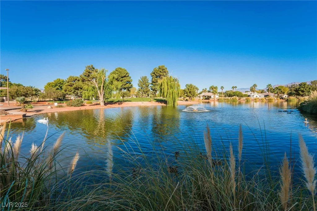 4909 Desert Poppy, Las Vegas, NV 89130