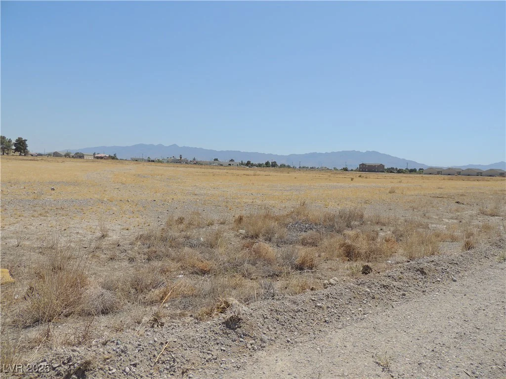 1981 Ironhorse, Pahrump, NV 89048