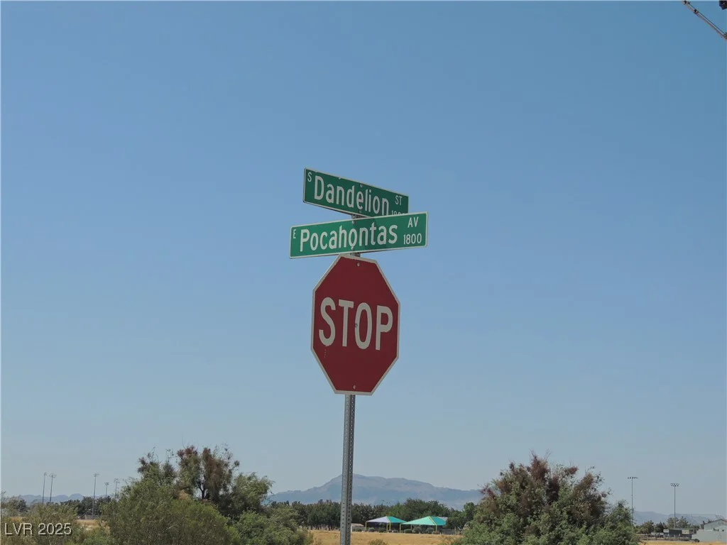 1981 Ironhorse, Pahrump, NV 89048