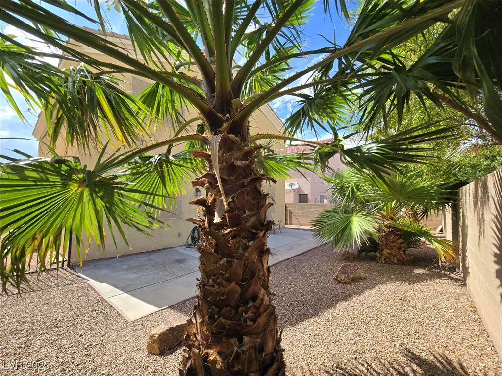 6638 Babys Tear, Las Vegas, NV 89148