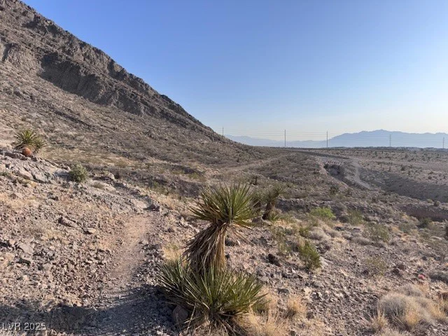 10776 Maltese Falcon, Las Vegas, NV 89129