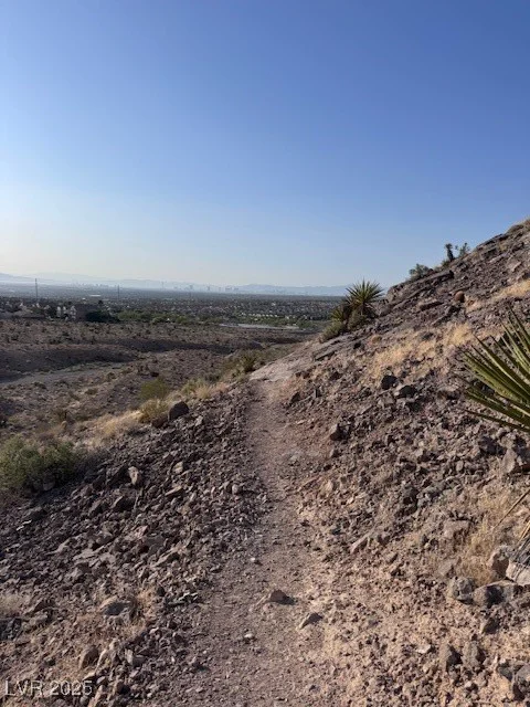 10776 Maltese Falcon, Las Vegas, NV 89129