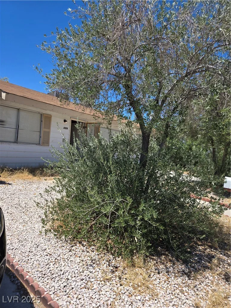 4329 Studio, Las Vegas, NV 89115