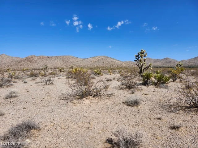 Cottonwood Cove, Searchlight, NV 89046