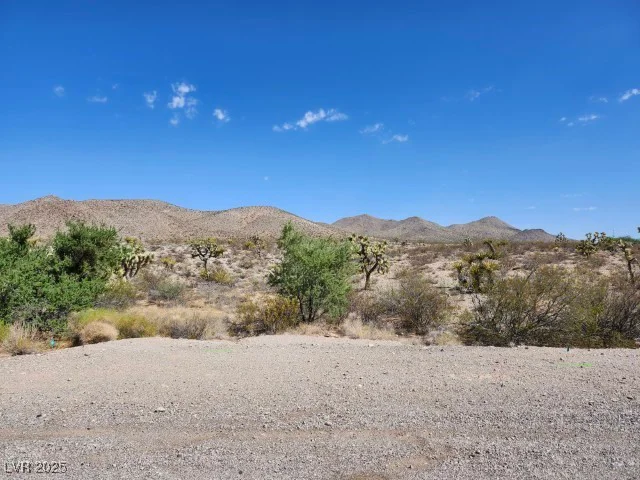 Cottonwood Cove, Searchlight, NV 89046
