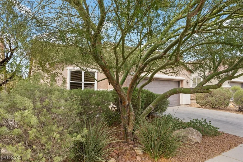 924 Crescent Falls, Henderson, NV 89011