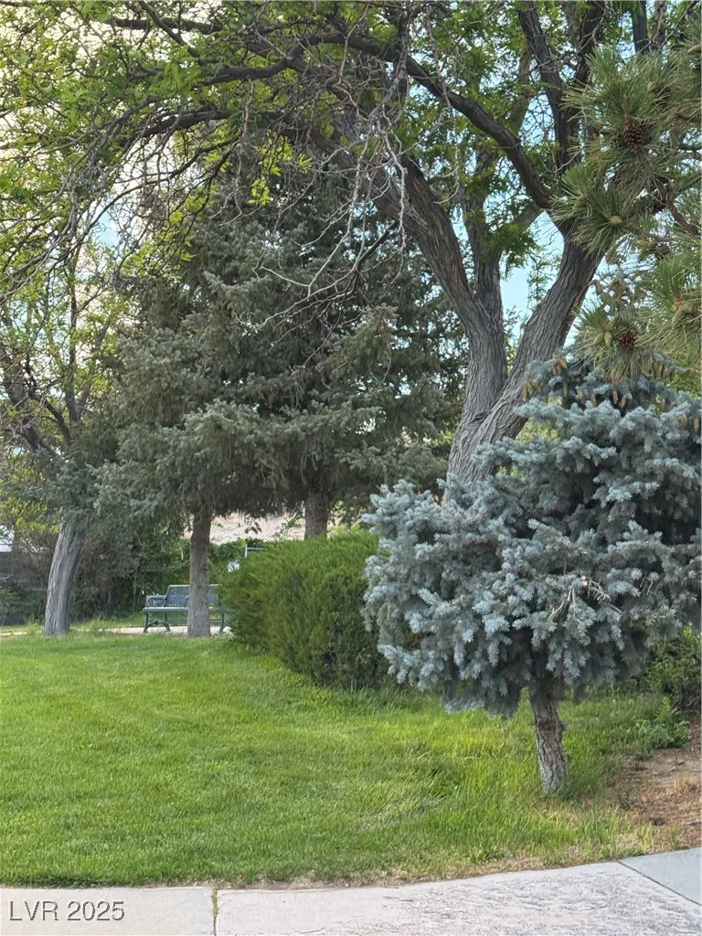 191 Booker, Tonopah, NV 89049