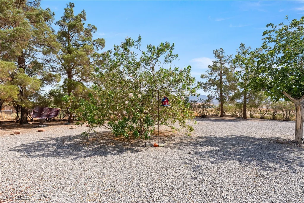 200 Domingo, Pahrump, NV 89048
