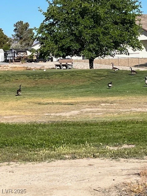 1401 Eldorado, Pahrump, NV 89048
