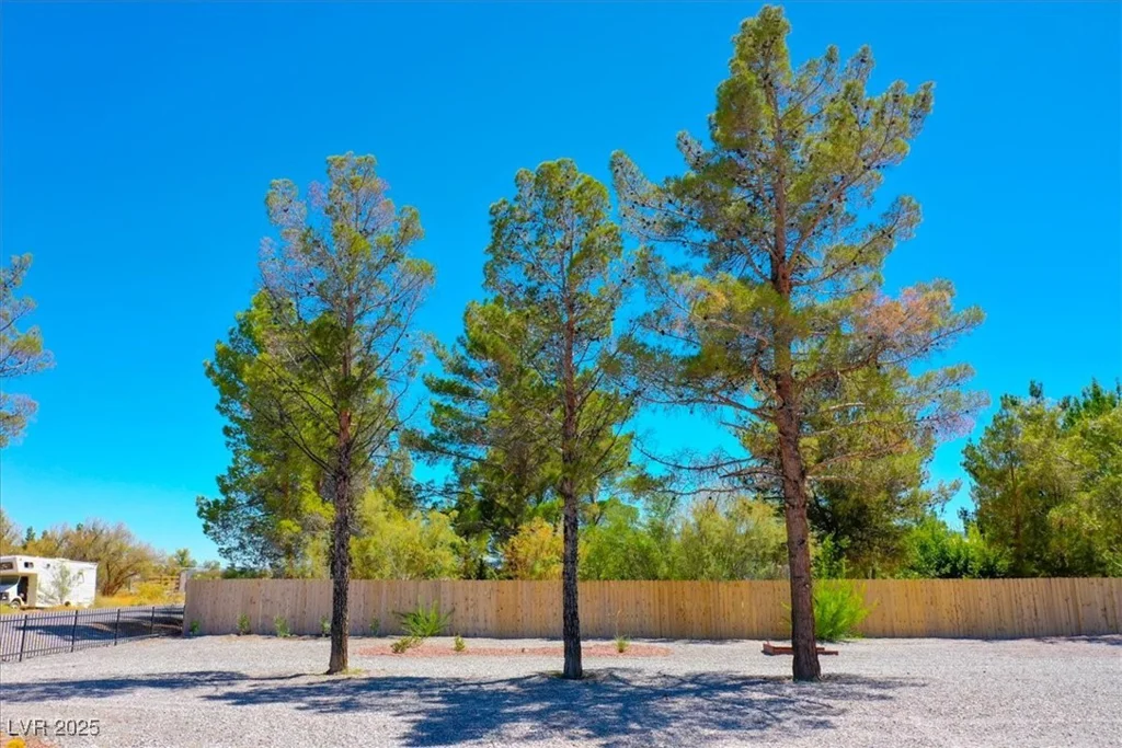 670 Cynthia, Pahrump, NV 89048