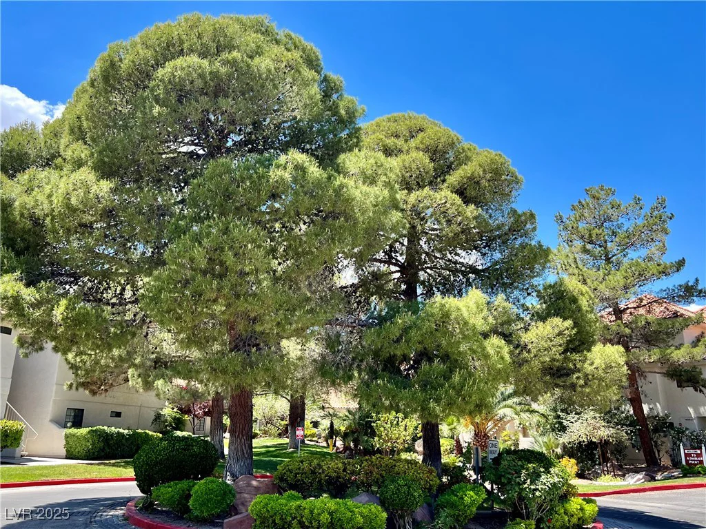 2627 Durango, Las Vegas, NV 89117