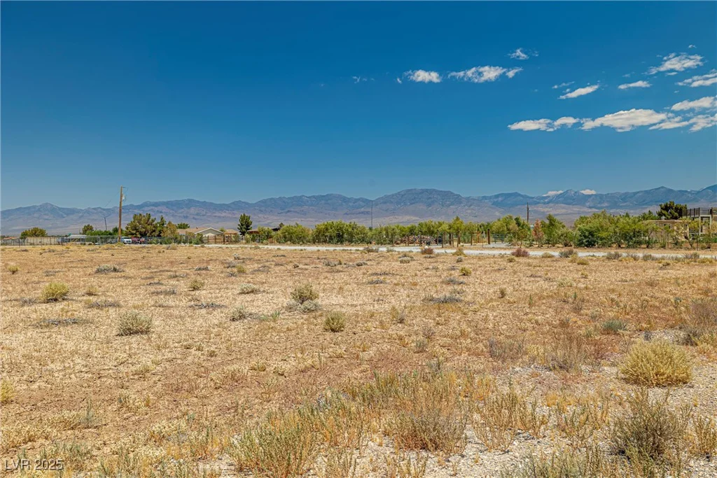 1690 Gray Fox, Pahrump, NV 89048