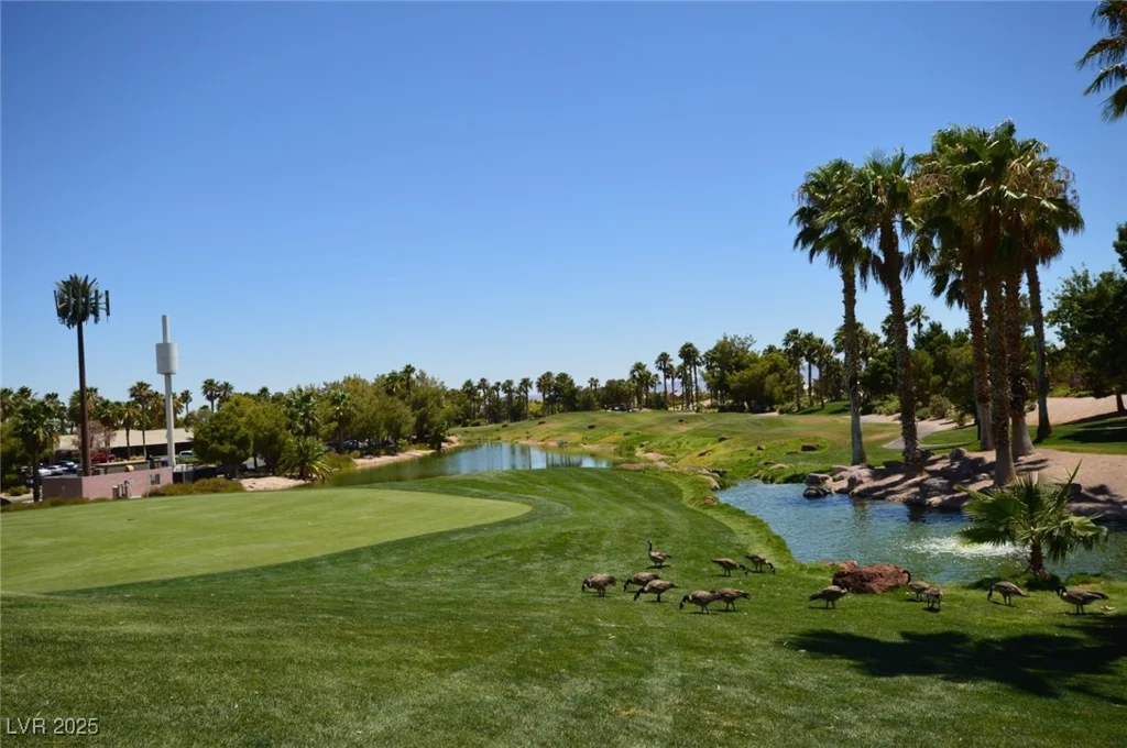 81 Island Course, Las Vegas, NV 89148