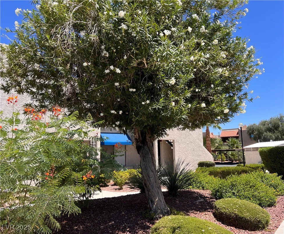 4361 Sanderling, Las Vegas, NV 89103